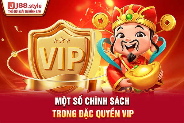 Một số chính sách trong đặc quyền VIP Một số chính sách trong đặc quyền VIP